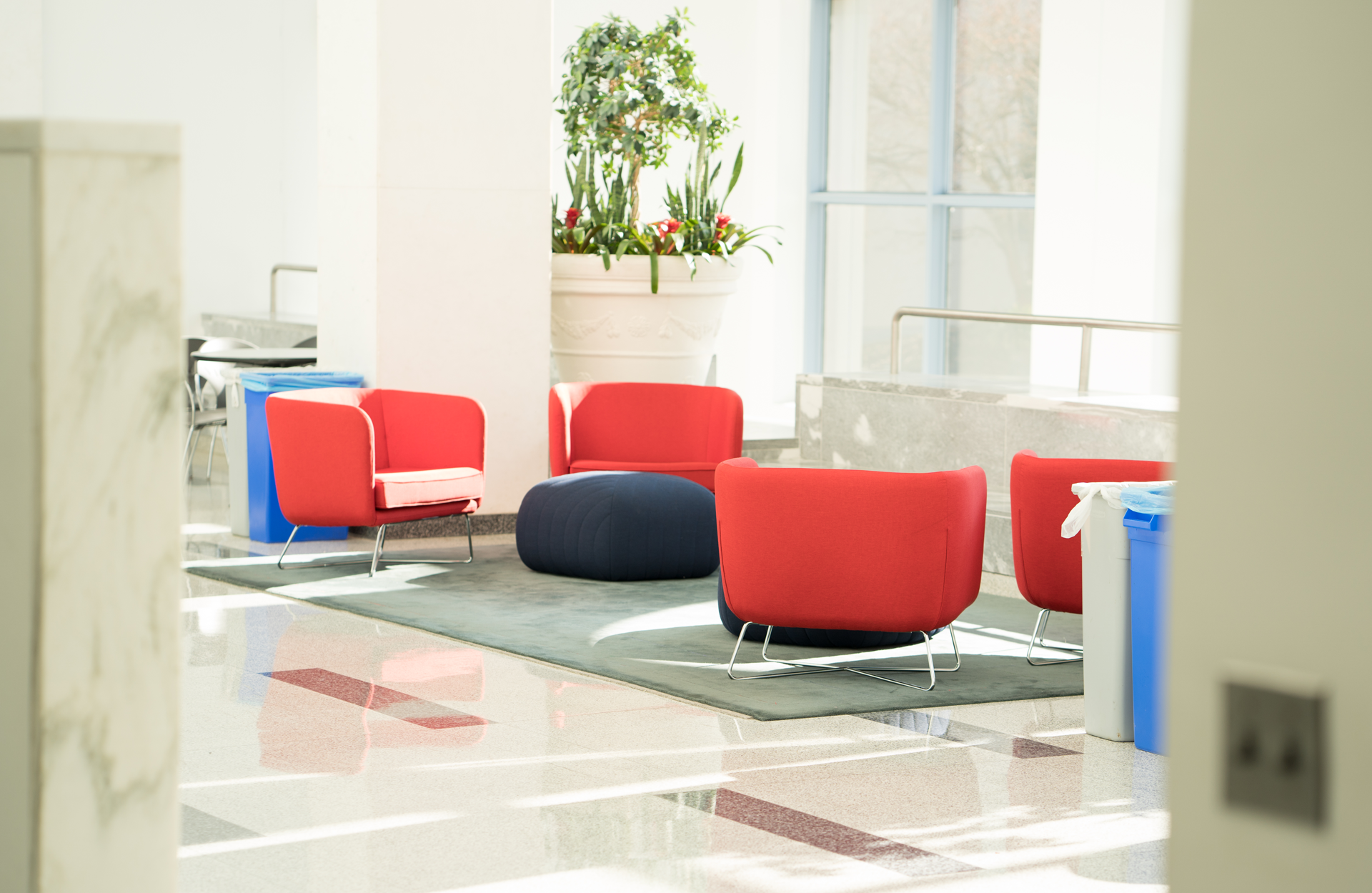 view of a white room with red chairs, white tiles, and a large potted plant