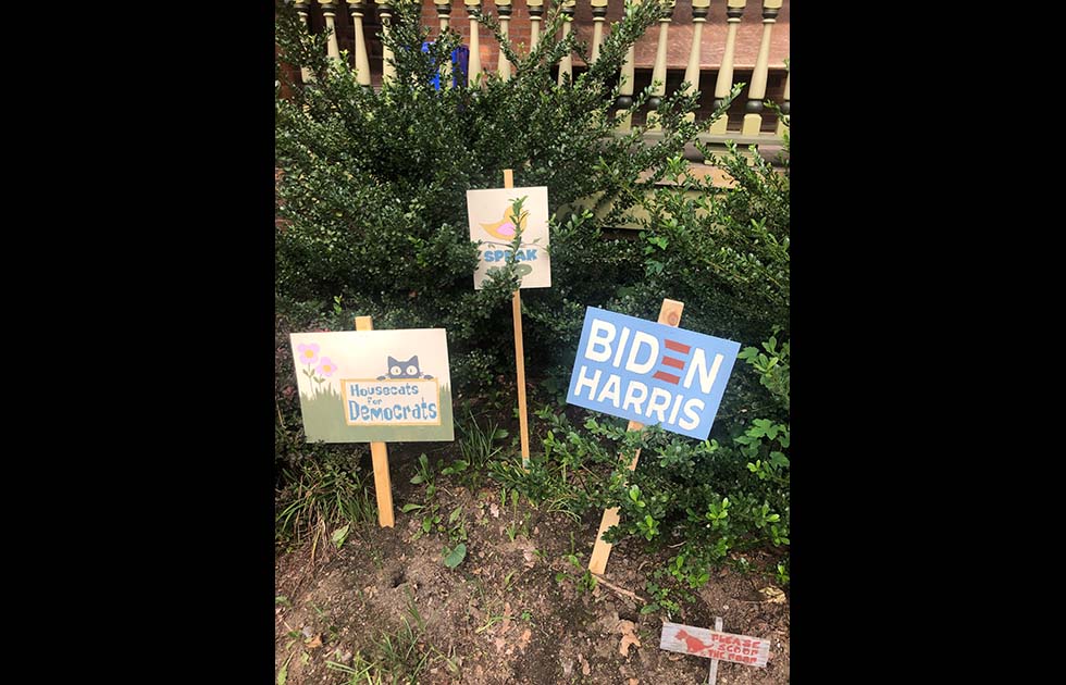 Hand painted lawn signs that say “Housecats for Democrats” with a cat and flower painting, Biden Harris (with Biden logo), Please Scoop the Poop with a dog pooping, and “Speak up” with a bird.