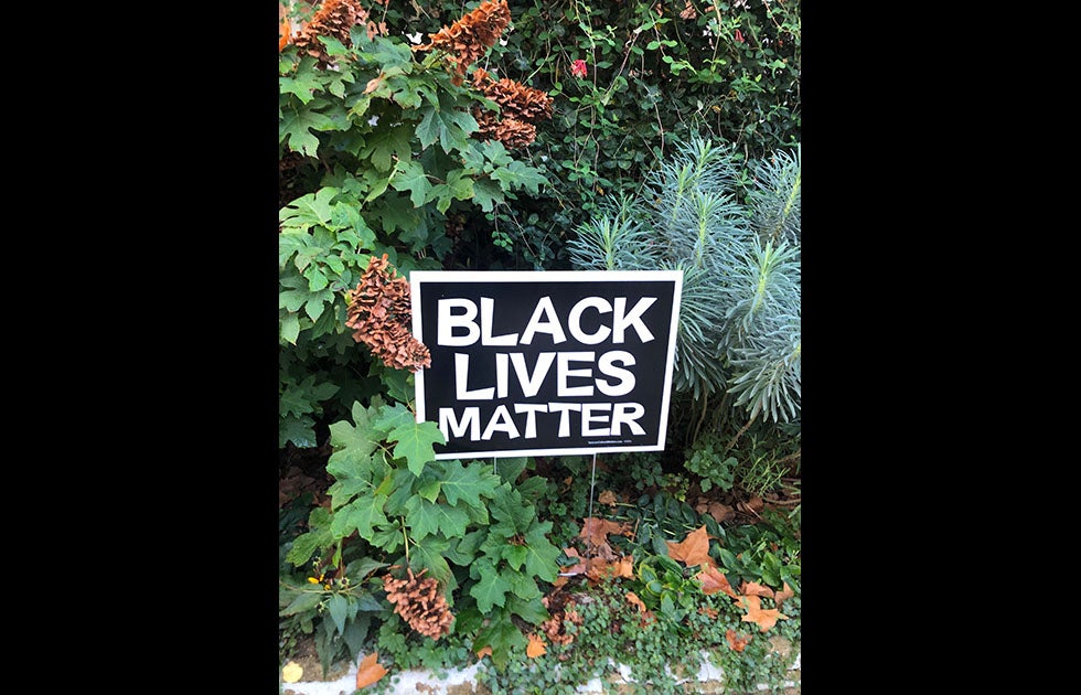“Black Lives Matter” sign amongst pine cones, leaves, and plants.