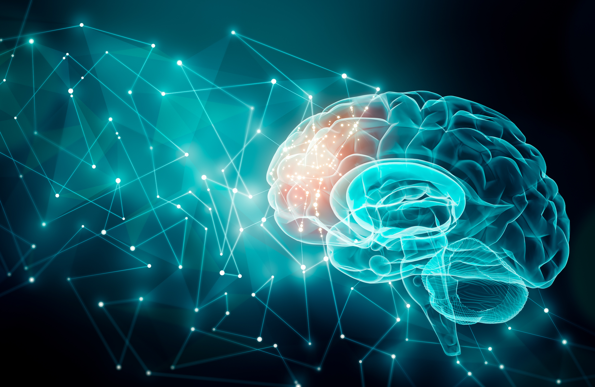 brain header-1.png Stylized illustration of a network of lines flowing from a brain