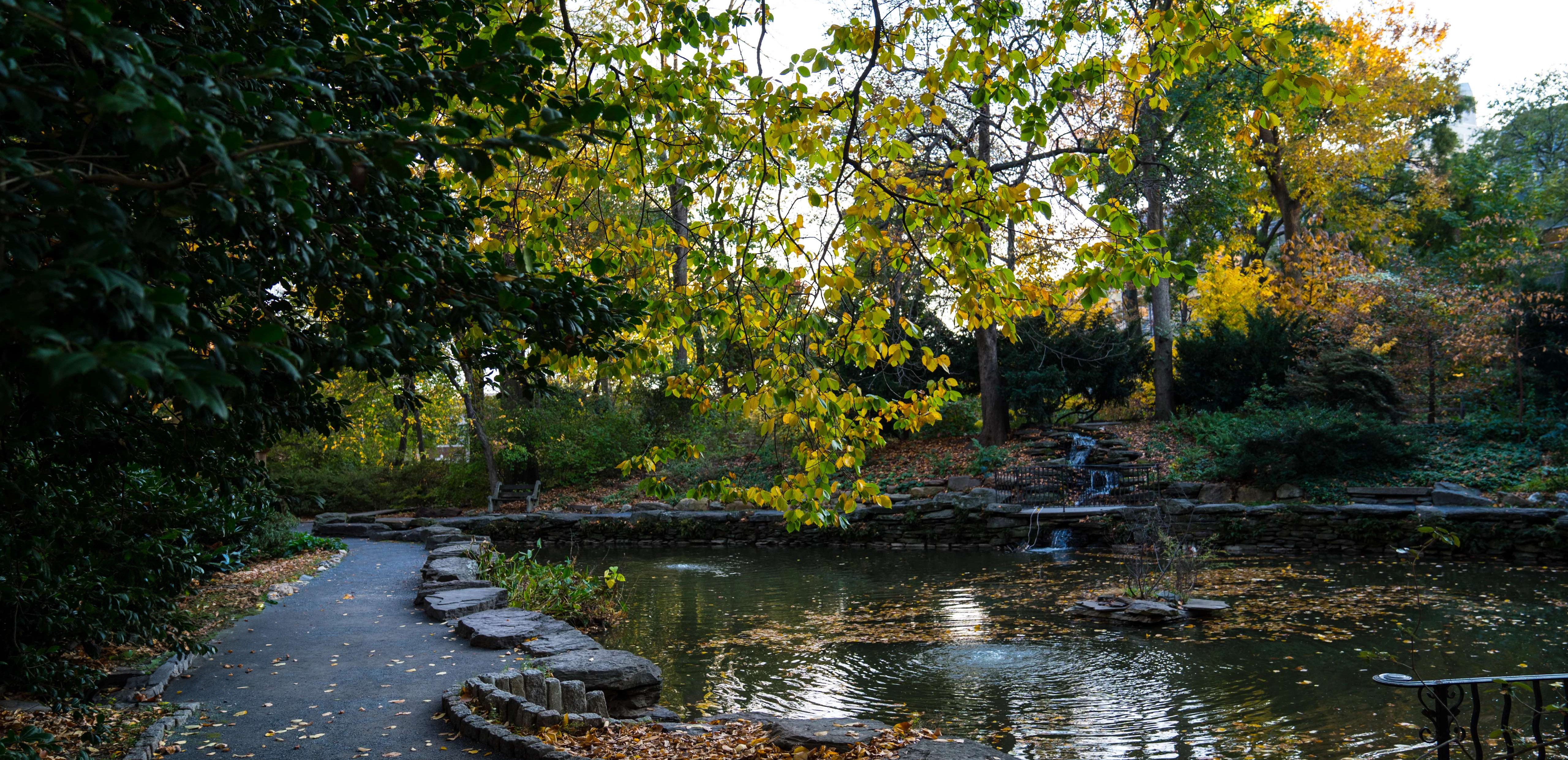Photo of BioPond at the University of Pennsylvania