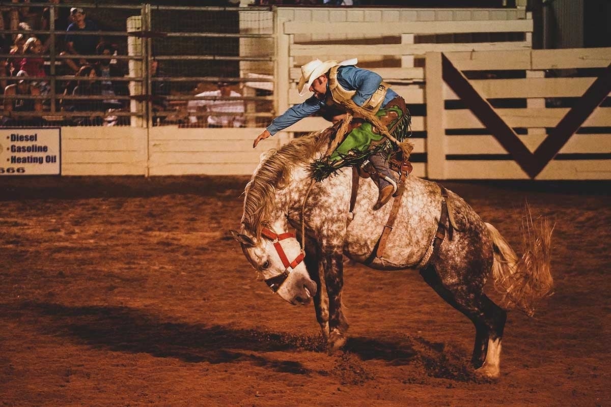 Cowboy riding a bucking horse