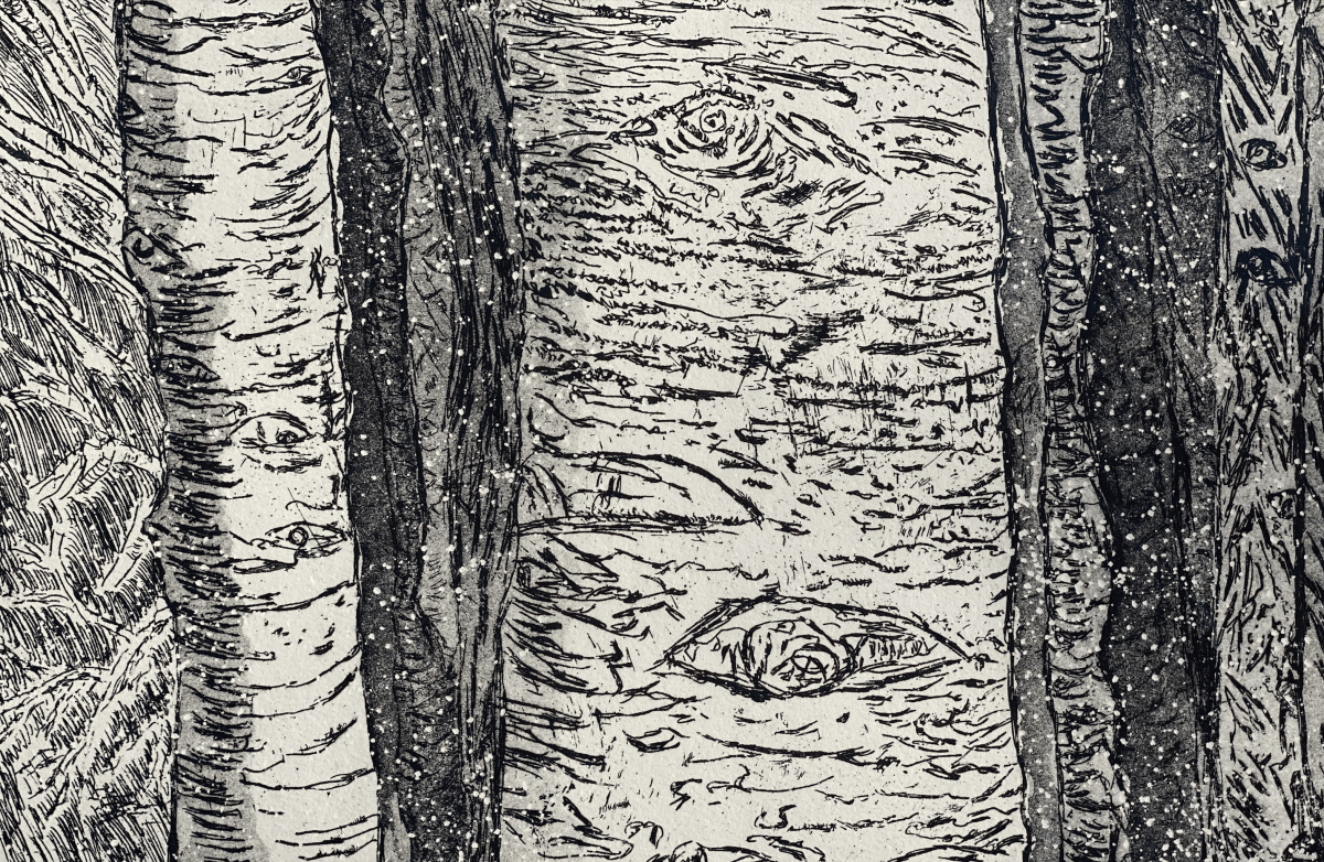 Black and white intaglio print of tree bark by Robert Krinsky