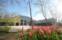 Annenberg School building viewed from the south side with clear blue sunny sky and tulips