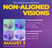 Section of a poster for Non-Aligned Visions film installation