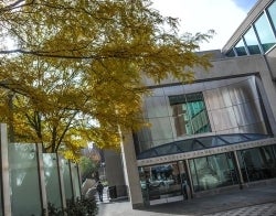 Walnut Street Exterior in Fall 700 x 550.jpg Walnut Street Exterior of the Annenberg School with a fall tree beside it