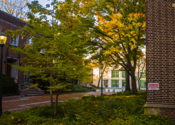 700x500.png A hint of the Annenberg Building as seen from Locust Walk. Trees and brick path in the foreground.