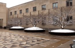 view of the right part of the front of Annenberg School with patterned ground tiles and trees covered in snow