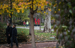 view of people walking along various paths with autumn trees in the fall 