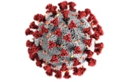 View of coronavirus under a microscope, photo credit CDC/cdc.gov