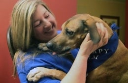 Lisa Serad playing with a dog