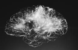 Scan of brain with fog throughout, photo credit Alina Grubnyak / Unsplash