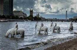 Horses perched in river water