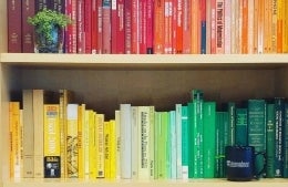 Books arranged in a rainbow wave from red to orange to yellow to green, with an Annenberg mug and a plant