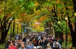 Many students walking down Locust Walk