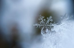 Snowflake against blurred background