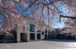 A flowering tree frames the exterior of the Annenberg School building at 3620 Walnut Street