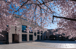 The facade of the Annenberg building surrounded by trees with cherry blossoms