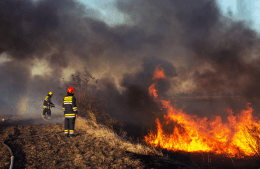 Firefighters fighting a large wildfire