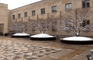 view of the right part of the front of Annenberg School with patterned ground tiles and trees covered in snow