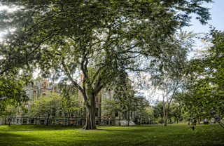 a view of trees partially covering College Hall, a stone building, on a bright day