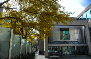 Fall leaves on trees outside Walnut Street entrance to the Annenberg School