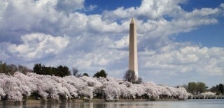Washington Monument set against a blue sky with clouds and cherry trees along a riverbank