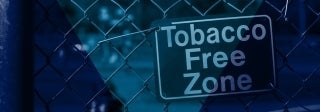 View of a green sign on a chain link fence that reads "tobacco free zone" in white letters, photo credit iStock / Allkindza