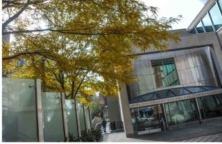 Walnut Street Exterior of the Annenberg School building with yellow fall tree