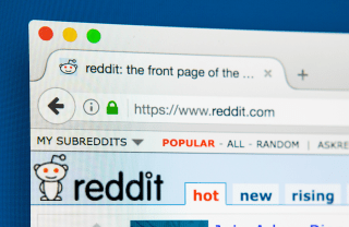An internet browser displays the Reddit homepage