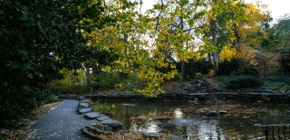 Photo of BioPond at the University of Pennsylvania