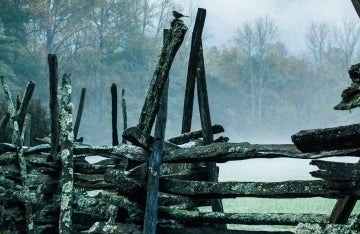 Wooden post fence in a field with mist in the air