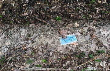 Blue disposable face mask left on dirt path.