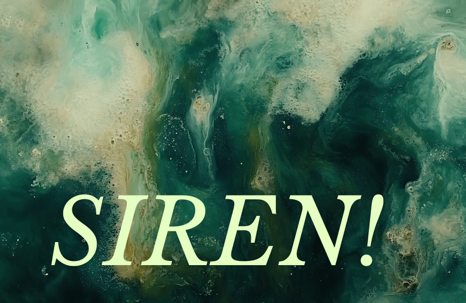 conceptional art for Siren! magazine - swirling blue waves with the word SIREN! in green