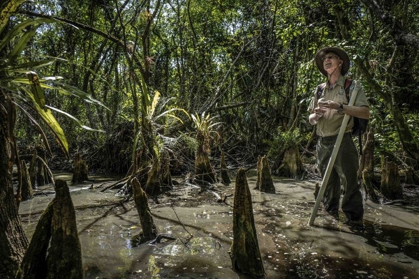 Biologist standing in a swamp with a walking stick and backpack