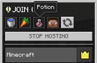 screenshot of join code icon options in Minecraft